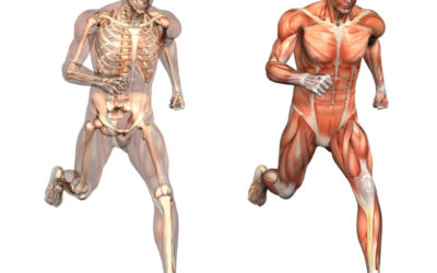 Why Musculoskeletal Health Is Important and What You Can Do to Improve It