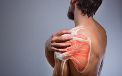 Your Road to Recovery: The Phases of Shoulder Rehab After Injury